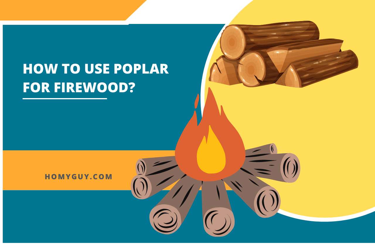 How to Use Poplar for Firewood?