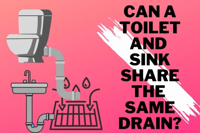 Can a Toilet and Sink Share the Same Drain