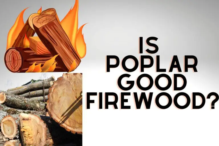 Is Poplar Good Firewood? [Splitting, Seasoning Time, BTU]