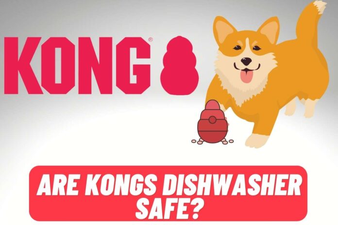 are kongs dishwasher safe