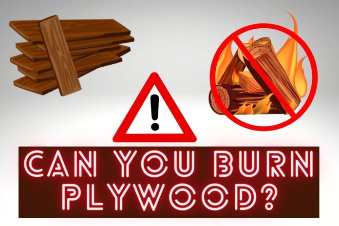 can you burn plywood