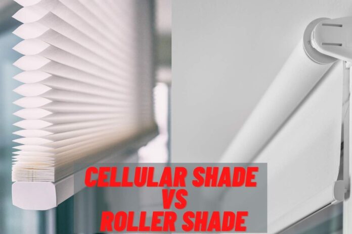 cellular shade vs roller shade