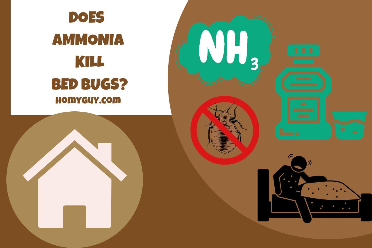 does ammonia kill bed bugs