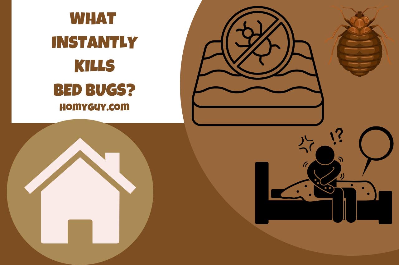 What Instantly Kills Bed Bugs