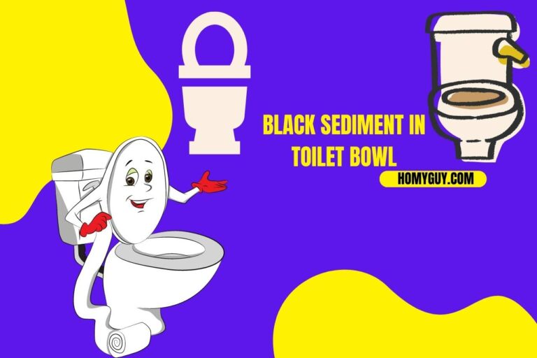 Black Sediment in the Toilet Bowl – Say Goodbye to Black Sediment!