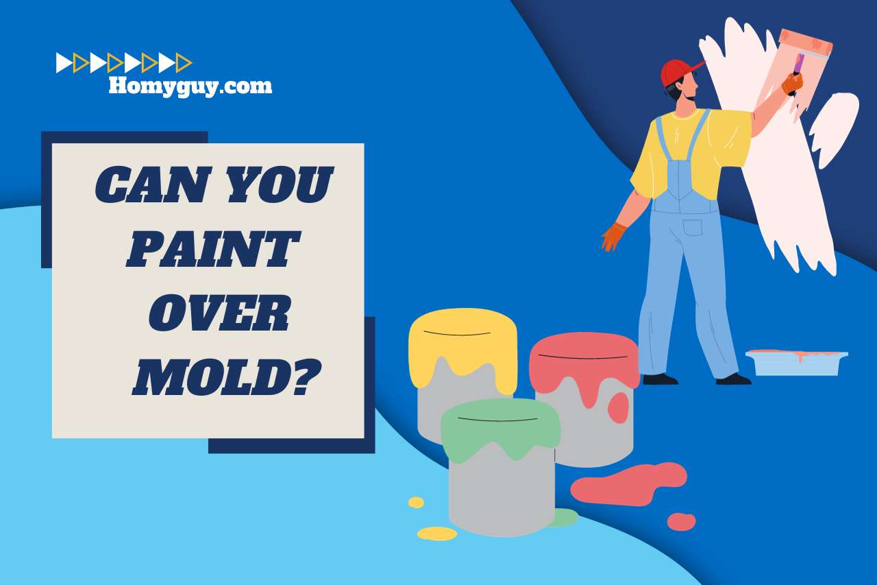 Can You Paint Over Mold