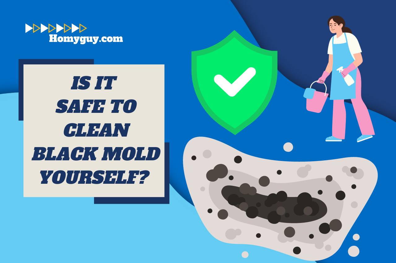 is it safe to clean black mold yourself