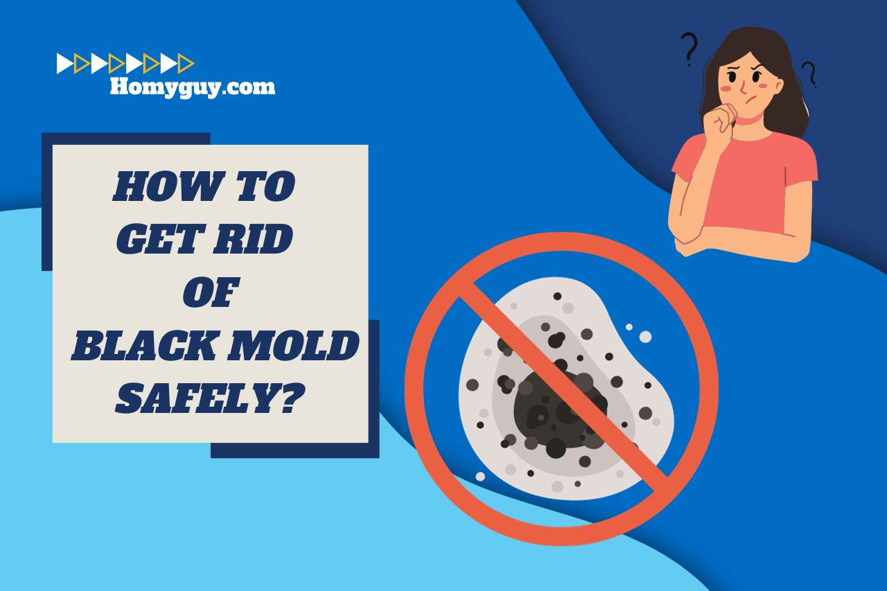 How to Get Rid of Black Mold Safely