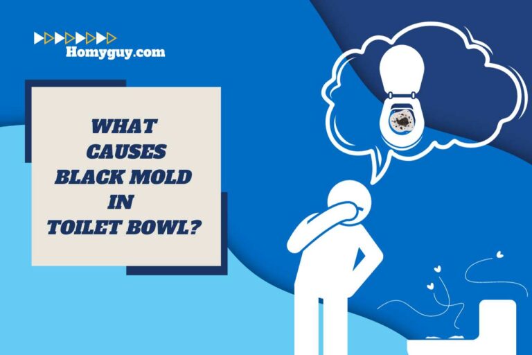 What Causes Black Mold in Toilet Bowl? (What to Look Out For)