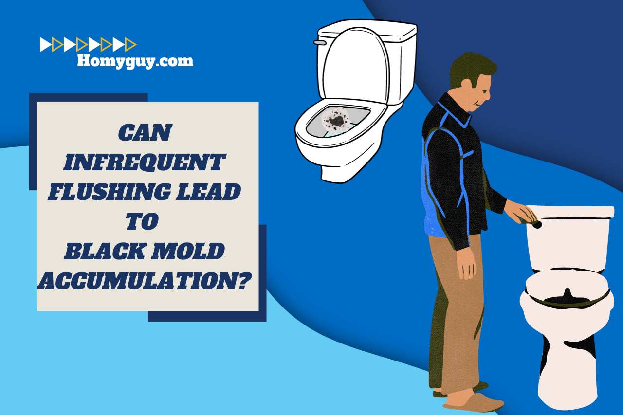 Can Infrequent Flushing Lead to Black Mold Accumulation