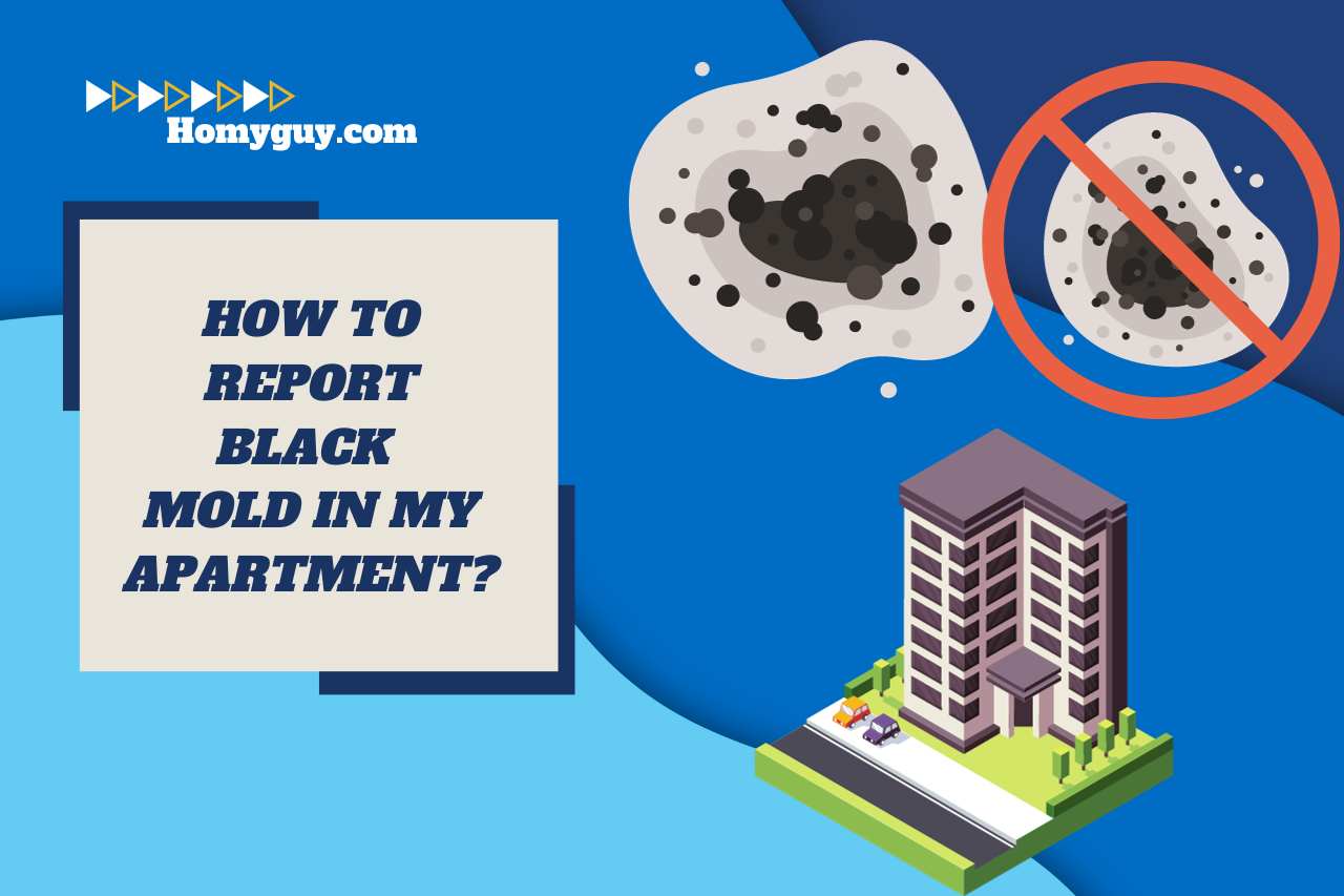 How to Report Black Mold in My Apartment